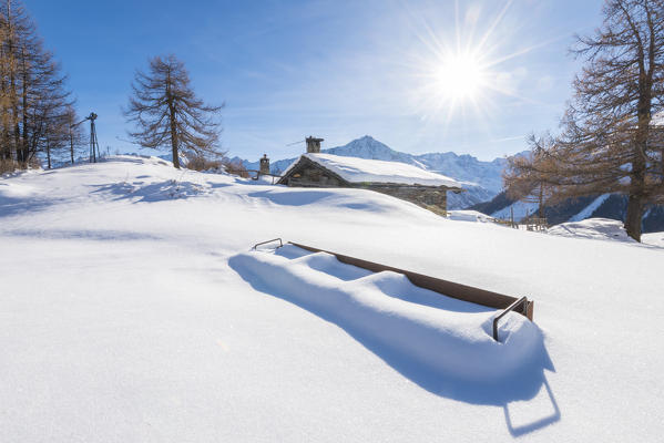Alpe Serve, Cogne Valley, Gran Paradiso National Park, Aosta Valley, Italian alps, Italy