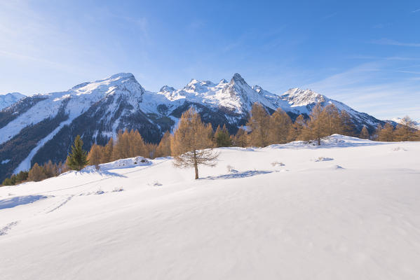 Panorama from Pian di Teppe, Cogne Valley, Gran Paradiso National Park, Aosta Valley, Italian alps, Italy