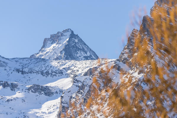 The summit of Grivola behind Col Pousset, Cogne Valley, Gran Paradiso National Park, Aosta Valley, Italian alps, Italy