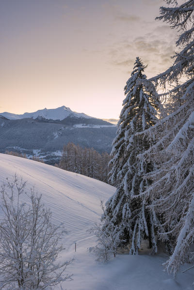 View of Mount Zerbion at dawn, Valtournenche, Aosta Valley, Italian alps, Italy