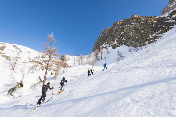 Ski mountaineers over Piamprato, Valle Soana, Gran Paradiso National Park, Piedmont, Province of Turin, Italian alps, Italy