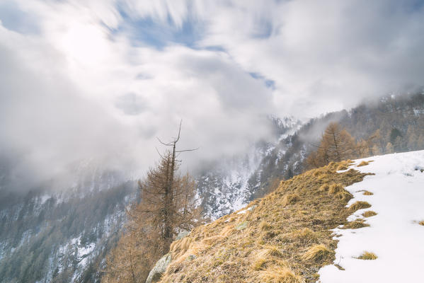 Slope at the end of winter, Valle Soana, Gran Paradiso National Park, Piedmont, Italian alps, Italy