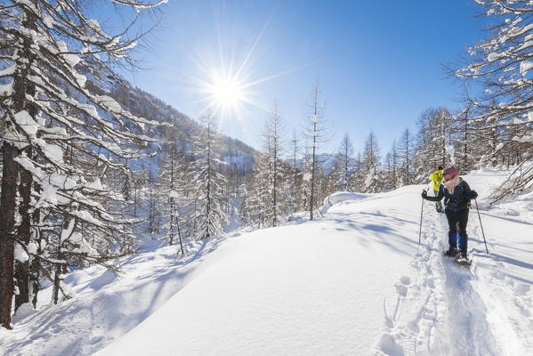 Hikers near Pian di Verra, Val d'Ayas, Aosta Valley, Italian alps, Italy