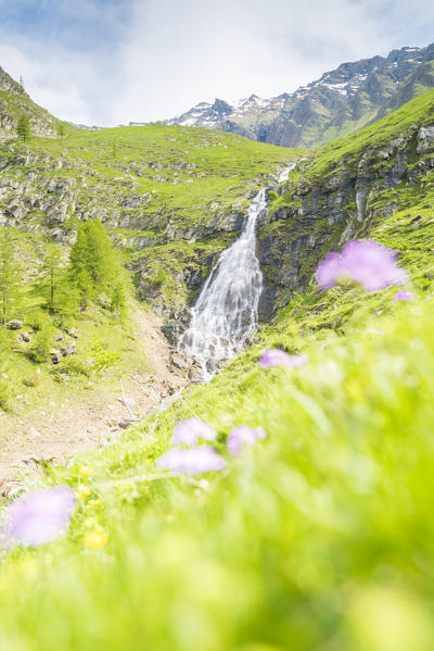 Waterfall over the meadows, Campiglia valley, Valle Soana, Gran Paradiso National Park, Piedmont, Province of Turin, Italian alps, Italy