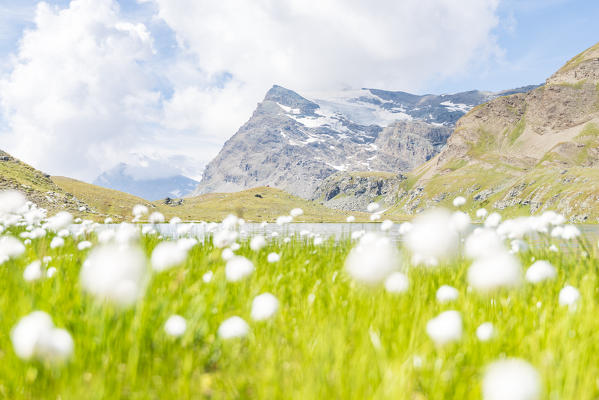 Punta Basei seen from the shores of Lake Leita, Valle dell'Orco, Gran Paradiso National Park, Piedmont, Italian alps, Italy