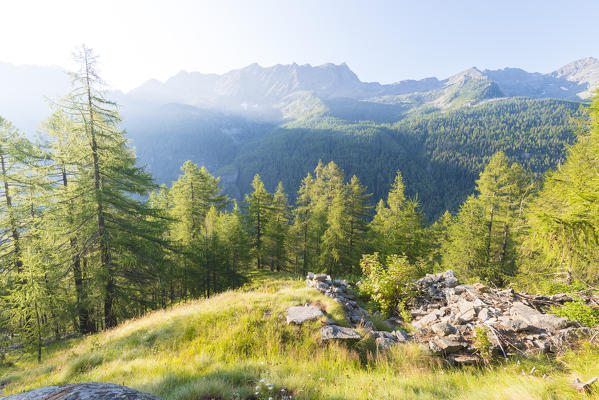 Morning sun in Valle dell Orco, Gran Paradiso National Park, Piedmont, Province of Turin, Italian alps, Italy 