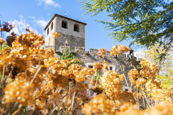 Autumnal s colors around the castle, Introd, Aosta Valley, Italian alps, Italy