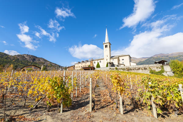 The curch of Introd, surrounded by the vineyards, Introd, Aosta Valley, Italian alps, Italy
