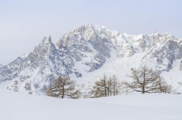 Mont Blanc seen from the slopes of Mont de la Saxe, Val Sapin, Aosta Valley, Italian alps, Italy