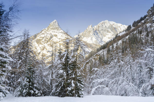 Mont Blanc and Mont Chetif seen from Val Sapin, Aosta Valley, Italian alps, Italy