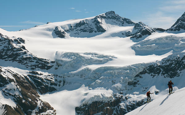 Skiers climbing Pizzo Tresero, Forni glacier, Lombardy, Italy