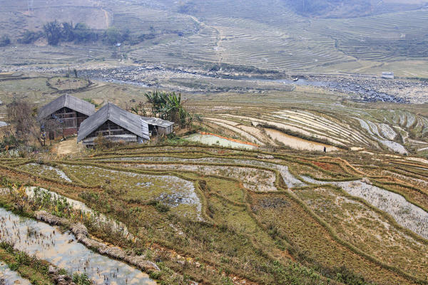 Isolated house among the rice terraces of Sapa in north Vietnam