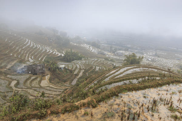 Isolated house among the rice terraces of Sapa in north Vietnam