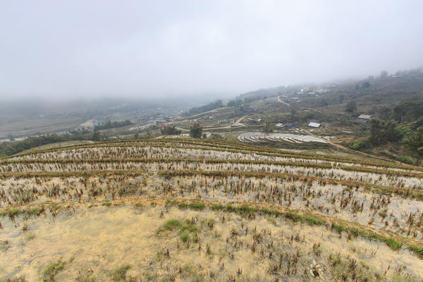 Rice terraces of Sapa, Vietnam