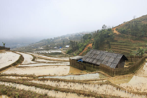 Isolated house among the rice terraces of Sapa in north Vietnam