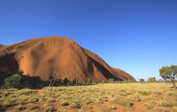 Uluru the famous rock formation in Northern Territory, Australia