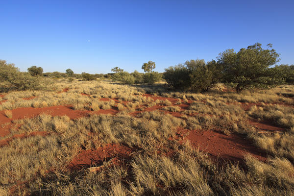 Outback Landscape in Australia