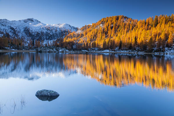 Caderzone, San Giuliano lakes, Adamello-Brenta natural park, Trentino Alto Adige, Italy. Wellowing larches reflected into the lake.