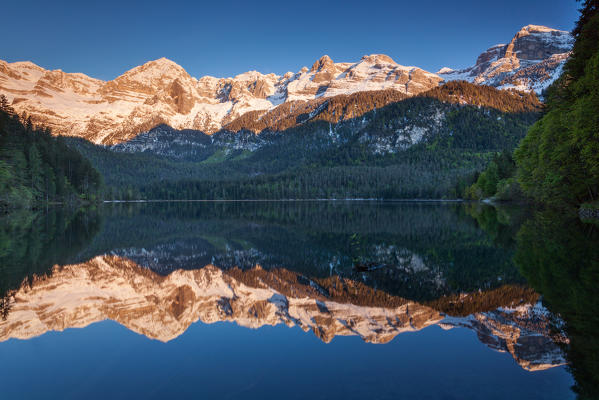 Tuenno, Tovel lake, Trento province, Trentino Alto Adige, Italy. The Brenta dolomites's range is reflected into the Tovel lake, in Tuenno country