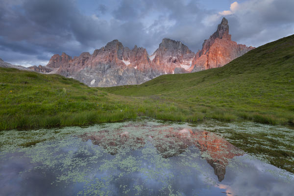 Baita Segantini, Pale of San Martino, Trento province, Dolomites, Trentino Alto Adige, Italy, Europe. Cimon della Pala reflected into a small lakes at sunset.