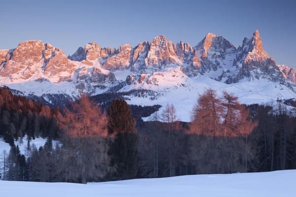 Pale of San Martino, Dolomites, Trento province, Trentino Alto Adige, Italy, Europe. View of Cimon della Pala from Malga Bocche at sunset.
