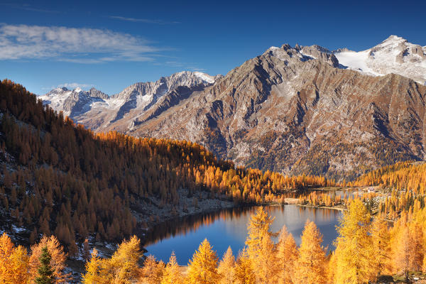 Caderzone, San Giuliano and Garzonè lakes, Adamello-Brenta natural park, Trentino Alto Adige, Italy. Yellow autumnal larches and two lakes.