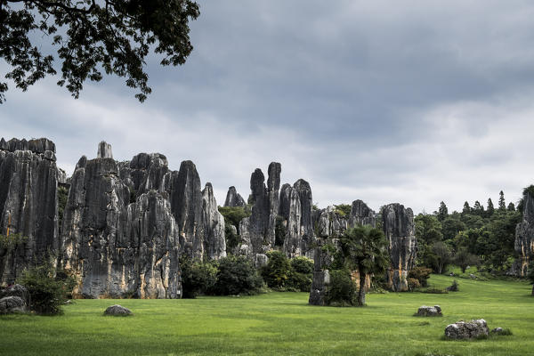Stone Forest or Shilin, Kunming, Yunnan Province, China, Asia, Asian, East Asia, Far East