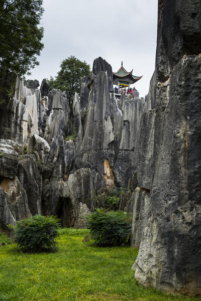 Stone Forest or Shilin, Kunming, Yunnan Province, China, Asia, Asian, East Asia, Far East