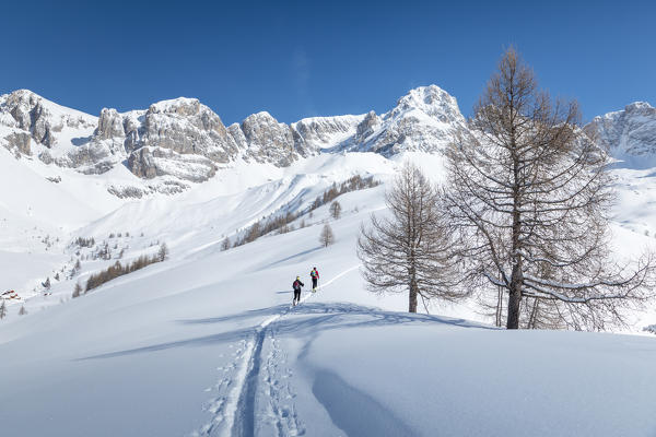 Ski mountaineers uphill towards Forca Rossa, Valfredda, Biois valley, Falcade, Belluno, Veneto, Italy