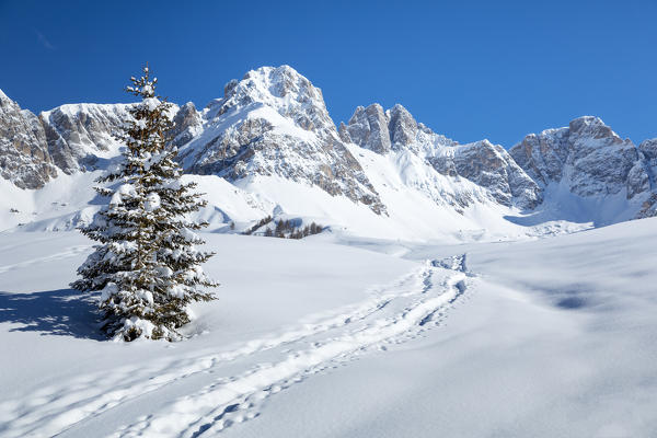 Tracks of ski mountaineers on the snow, Valfredda, Biois valley, Falcade, Belluno, Veneto, Italy