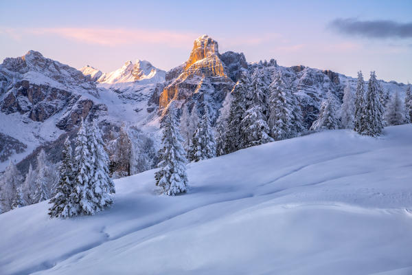 Pralongià plateau winter scenery, in the background the alpenglow on the Sassongher, Corvara in Badia, Alta Badia - Gadertal, Bolzano, South Tyrol, Italy