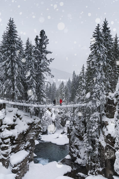 two young hikers on the suspension bridge over the gorge of the Travignolo river in a winter landscape, Paneveggio, Dolomites, Predazzo, Trentino, Italy