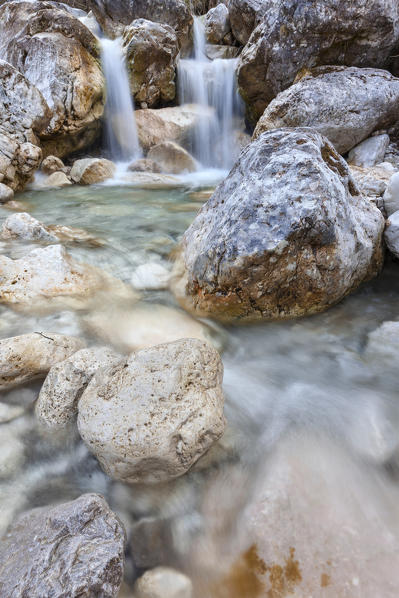 Europe, Italy, Veneto, Belluno. A little stream near Case Salet, Monti del Sole, Dolomiti Bellunesi National Park, Dolomites