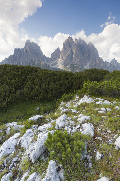 Europe, Italy,  Veneto, Cadore. The Cadini Misurina seen from Croda of Campoduro, Dolomites