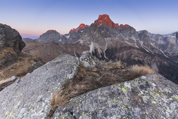 Europe, Italy, Trentino Alto Adige. Alpenglow on the Cimon della Pala, Bureloni and mount Mulaz, as seen from Cavallazza Piccola, Lagorai
