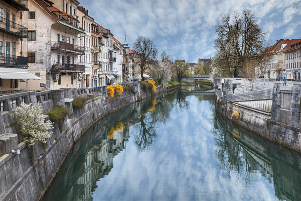 Europe, Slovenia, Ljubljana. Buildings on the Ljubljanica river in early spring