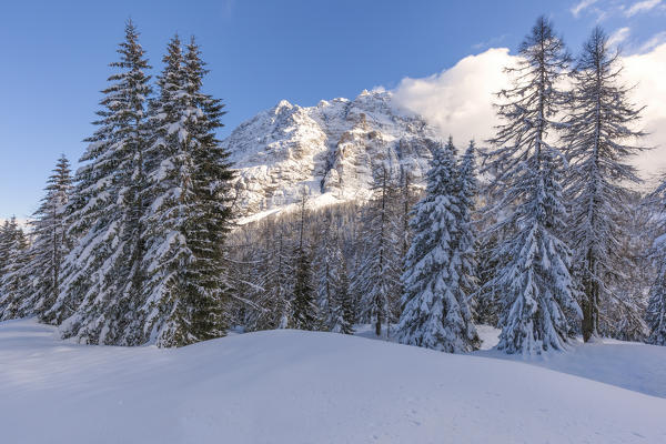 Europe, Italy, Veneto, Belluno. San Sebastiano mountain in winter, municipality of La Valle Agordina, Dolomites