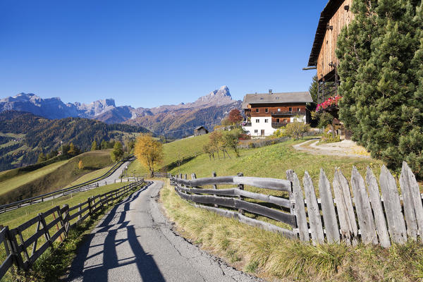 typical landscape of the South Tyrol in the village of Ciablun, La Valle / Wengen Val Badia / Hocabtei, Dolomites, Bolzano, South Tyrol, Italy, Europe