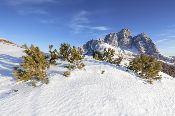 North-west wall of the mount Pelmo from Alpe Prendera in winter, Col Roan, Dolomites, Borca di Cadore, Belluno, Veneto, Italy
