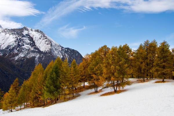 Orsiera Rocciavre Park, Chisone Valley,Turin,Piedmont, Italy. Autumn Orsiera Rocciavre Park 