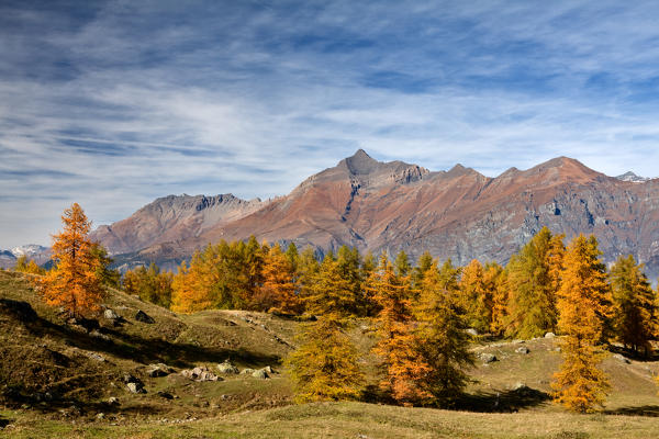 Orsiera Rocciavre Park, Susa Valley,Turin, Piedmont, Italy. Autumn Orsiera Rocciavre Park 