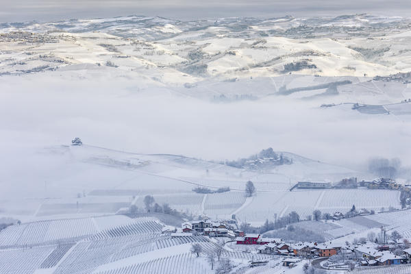 Langhe, Cuneo district, Piedmont, Italy. Langhe wine region winter snow, cedar of the langhe
