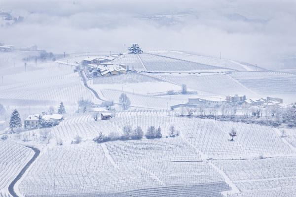 Langhe, Cuneo district, Piedmont, Italy. Langhe wine region winter snow,cedar of the langhe