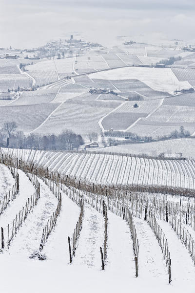 Langhe, Cuneo district, Piedmont, Italy. Langhe wine region winter snow,Castiglione Falletto village