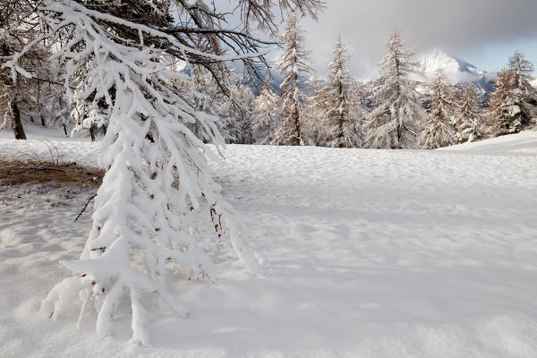 Orsiera Rocciavre Park, Chisone Valley,Turin, Piedmont, Italy. Winter Orsiera Rocciavre Park