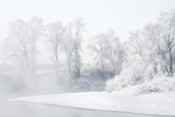 Plain Piedmont, Piedmont,Turin, Italy. Hoar frost trees on the Po river