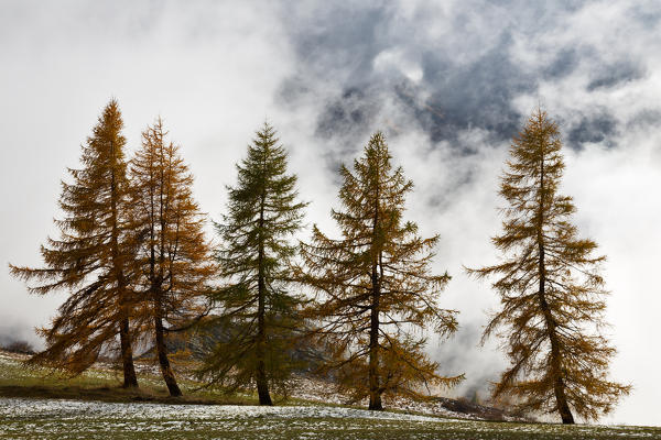 Orsiera Rocciavre Park, Chisone Valley,Turin,  Piedmont, Italy. Autumn Orsiera Rocciavre Park 