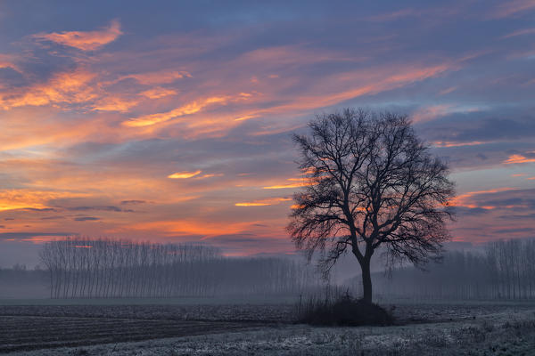 Plain Piedmont, Piedmont,Turin, Italy. Winter sunrise in Piedmont plain