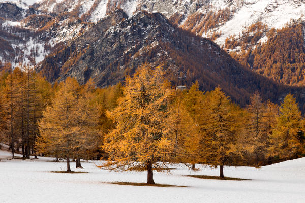Orsiera Rocciavre Park, Chisone Valley,Turin, Piedmont, Italy. Autumn Orsiera Rocciavre Park 