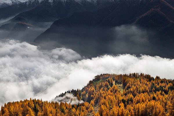 Orsiera Rocciavre Park, Chisone Valley,Turin, Piedmont, Italy. Autumn Orsiera Rocciavre Park 